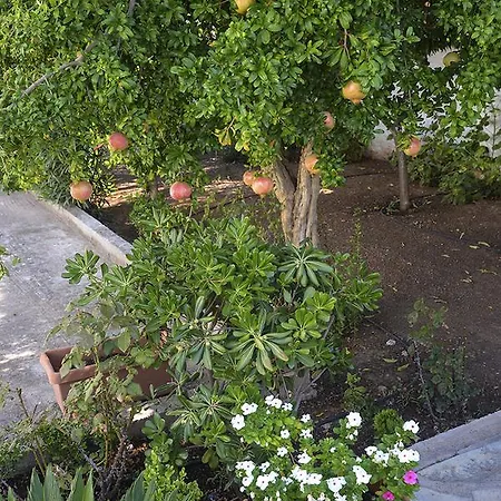 Anesis Guest house Spetses Town